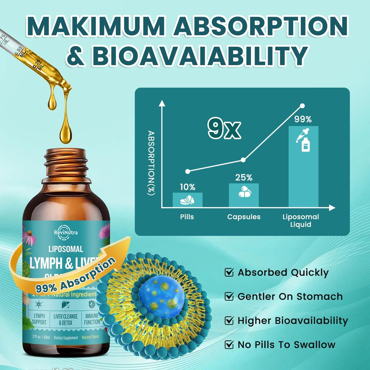 Liposomale Lymphdrainage-Tropfen, Leberreinigung & Entgiftung flüssig mit Mariendistel, Löwenzahn, Klettenwurzel & Echinacea - Lymph- & Leber-Detox, Antioxidans, natürlicher Geschmack 60 ml