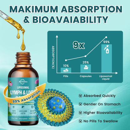 Liposomale Lymphdrainage-Tropfen, Leberreinigung & Entgiftung flüssig mit Mariendistel, Löwenzahn, Klettenwurzel & Echinacea - Lymph- & Leber-Detox, Antioxidans, natürlicher Geschmack 60 ml