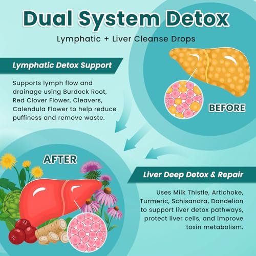Liposomale Lymphdrainage-Tropfen, Leberreinigung & Entgiftung flüssig mit Mariendistel, Löwenzahn, Klettenwurzel & Echinacea - Lymph- & Leber-Detox, Antioxidans, natürlicher Geschmack 60 ml