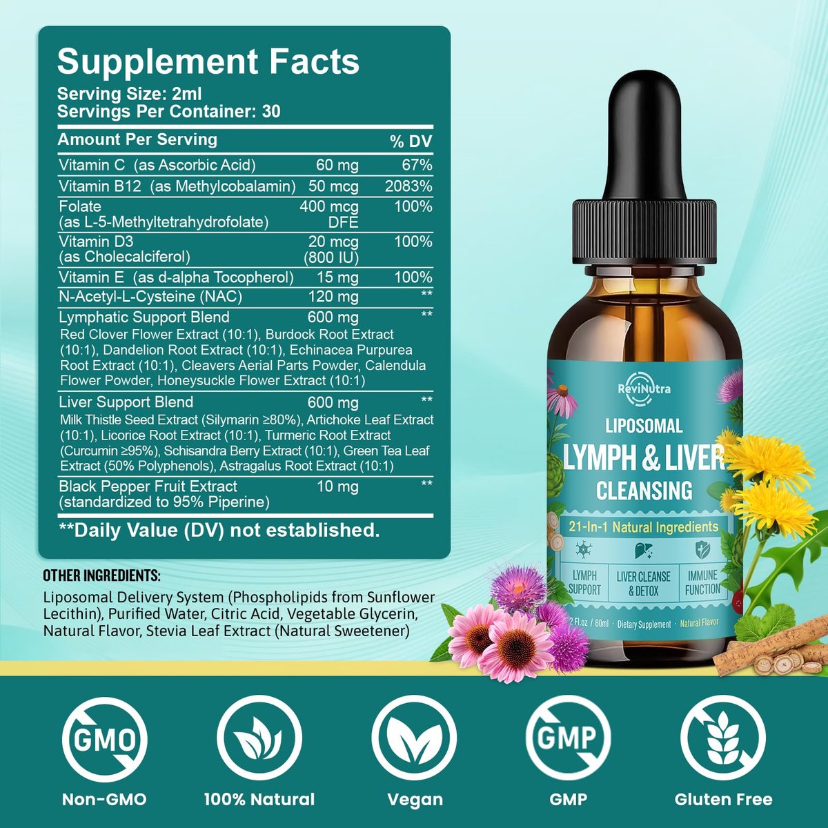 Liposomale Lymphdrainage-Tropfen, Leberreinigung & Entgiftung flüssig mit Mariendistel, Löwenzahn, Klettenwurzel & Echinacea - Lymph- & Leber-Detox, Antioxidans, natürlicher Geschmack 60 ml