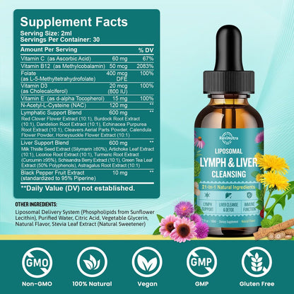 Liposomale Lymphdrainage-Tropfen, Leberreinigung & Entgiftung flüssig mit Mariendistel, Löwenzahn, Klettenwurzel & Echinacea - Lymph- & Leber-Detox, Antioxidans, natürlicher Geschmack 60 ml