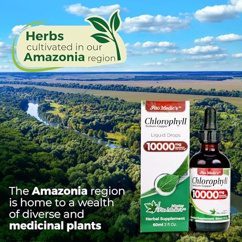 FITO MEDIC'S Lab | Flüssigchlorophyll | Chlorophyll-Tropfen | 50 mg pro Portion (200:1 Extrakt)