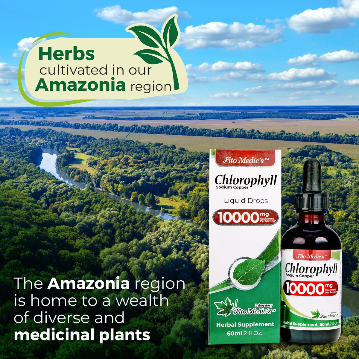 FITO MEDIC'S Lab | Flüssigchlorophyll | Chlorophyll-Tropfen | 50 mg pro Portion (200:1 Extrakt)