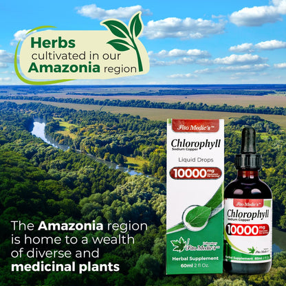 FITO MEDIC'S Lab | Flüssigchlorophyll | Chlorophyll-Tropfen | 50 mg pro Portion (200:1 Extrakt)