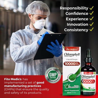 FITO MEDIC'S Lab | Flüssigchlorophyll | Chlorophyll-Tropfen | 50 mg pro Portion (200:1 Extrakt)