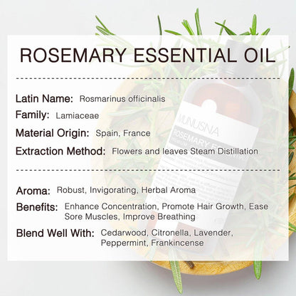 MUNUSNA Rosmarinöl 100 ml – 100% reines Rosmarinöl für Haarwachstum, Premium Aromatherapieöl für Hautpflege, Körpermassage, Diffuser, Seifen- und Kerzenherstellung