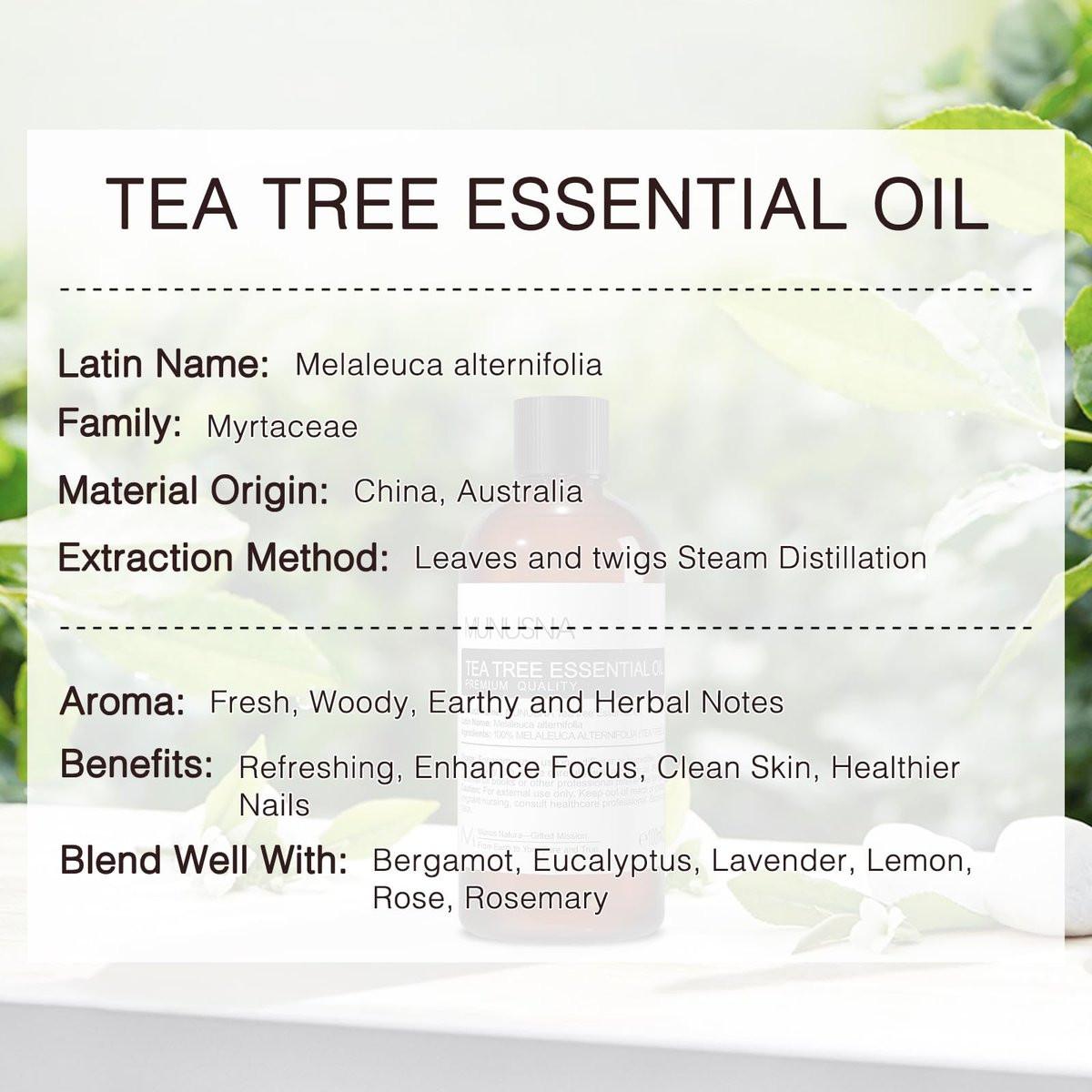 MUNUSNA Teebaumöl 100 ml – 100% reines, natürliches Teebaumöl für Haut, Haare, Diffuser, Aromatherapie, Kopfhaut und Körpermassage