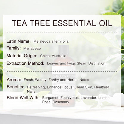 MUNUSNA Teebaumöl 100 ml – 100% reines, natürliches Teebaumöl für Haut, Haare, Diffuser, Aromatherapie, Kopfhaut und Körpermassage
