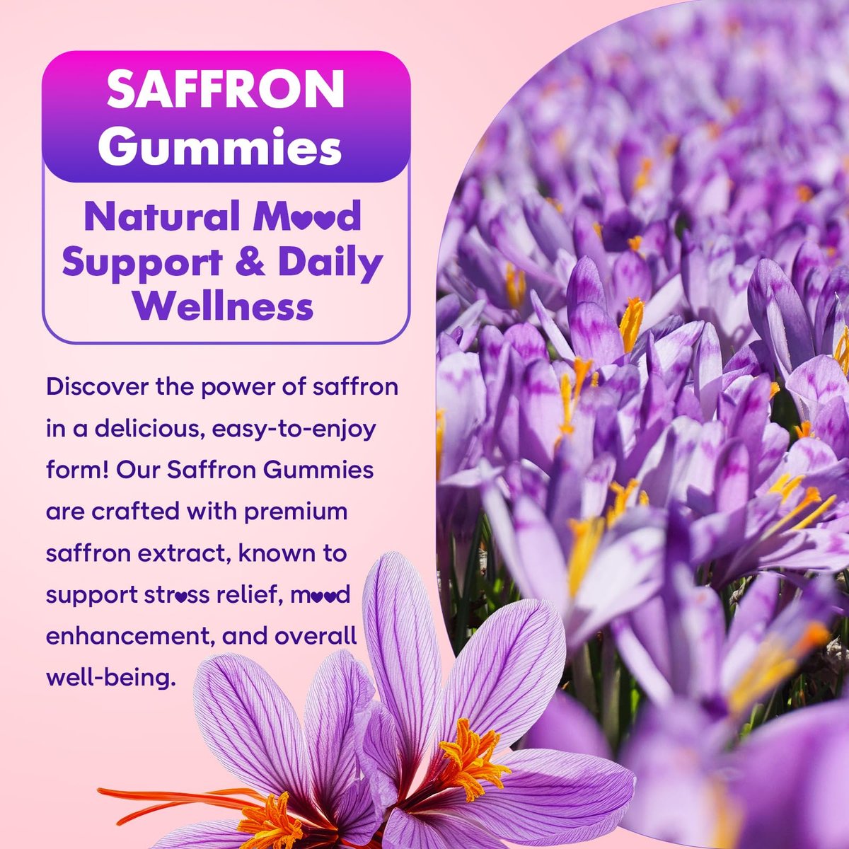 softbear Safran Gummis für Kinder & Erwachsene, 10-in-1 Bio Safran Ergänzung mit 88,5 mg Safran Extrakt, Unterstützt Ruhe & Fokus & Schlaf, Zuckerfrei/Ohne Gentechnik, Himbeergeschmack, 60 Stück