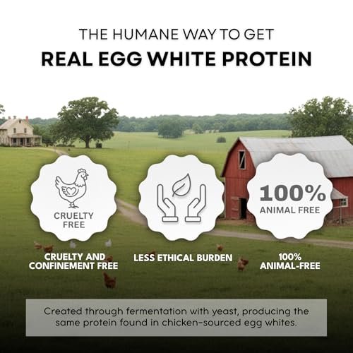 Healthier Comforts Tierfreies Eiweißpulver aus Eiklar | Vegane Eier-Omeletts, Engelkuchen, Baiser, Proteinshakes | Schäumt und bindet wie traditionelles Eiweiß (227 g)