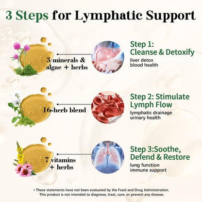 Migcopat 26-in-1 Liposomale Lymphdrainage-Tropfen – Echinacea, Kurkuma, Holunder, Löwenzahn, Vitamine und Königskerze für Lunge, Lymphsystem, Immununterstützung, Leberreinigung & -reparatur, 60 ml