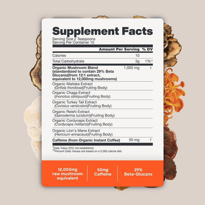 Premium Bio-Pilz Kaffee – 12:1 Fruchtkörper Extrakt – Reise Pack – 29% Beta-Glucane – Sanfter Geschmack, Laborgeprüft für Saubere Energie, Kein Zittern, Fokus, Immununterstützung (15 Portionen)
