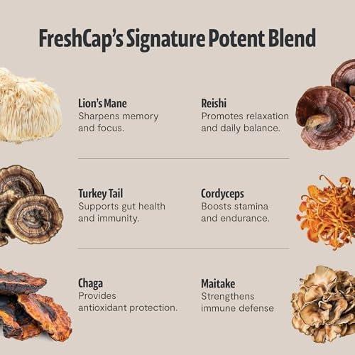 Premium Bio-Pilz Kaffee – 12:1 Fruchtkörper Extrakt – Reise Pack – 29% Beta-Glucane – Sanfter Geschmack, Laborgeprüft für Saubere Energie, Kein Zittern, Fokus, Immununterstützung (15 Portionen)