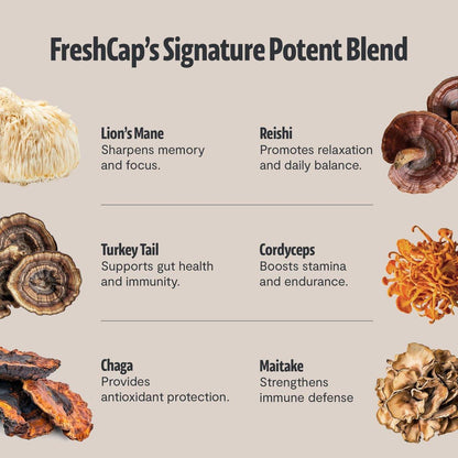 Premium Bio-Pilz Kaffee – 12:1 Fruchtkörper Extrakt – Reise Pack – 29% Beta-Glucane – Sanfter Geschmack, Laborgeprüft für Saubere Energie, Kein Zittern, Fokus, Immununterstützung (15 Portionen)