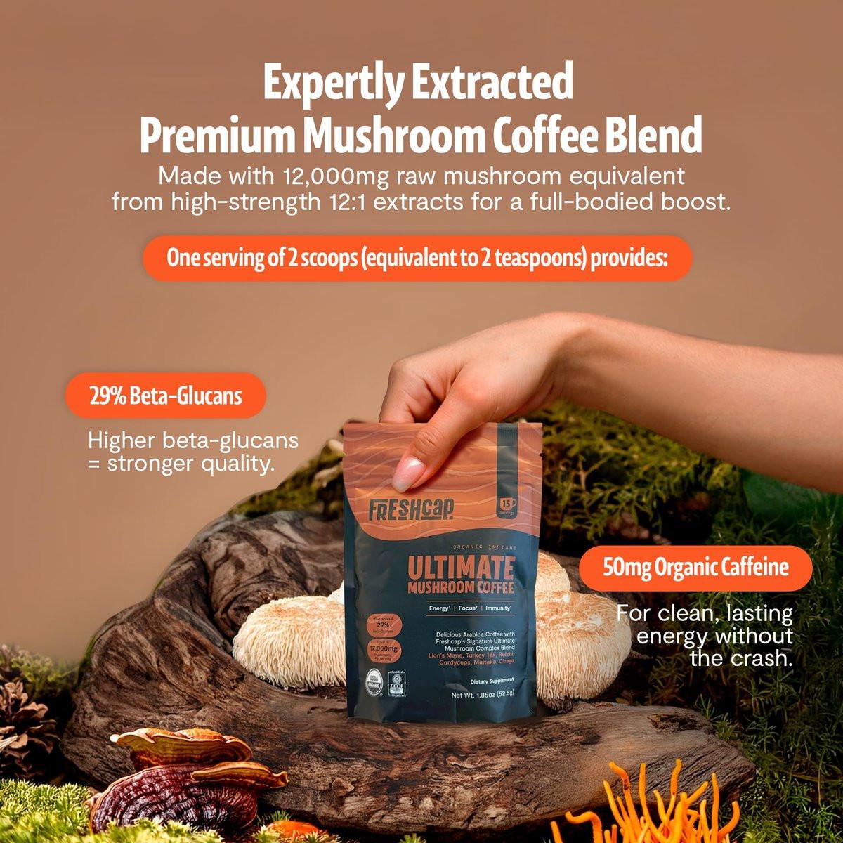 Premium Bio-Pilz Kaffee – 12:1 Fruchtkörper Extrakt – Reise Pack – 29% Beta-Glucane – Sanfter Geschmack, Laborgeprüft für Saubere Energie, Kein Zittern, Fokus, Immununterstützung (15 Portionen)
