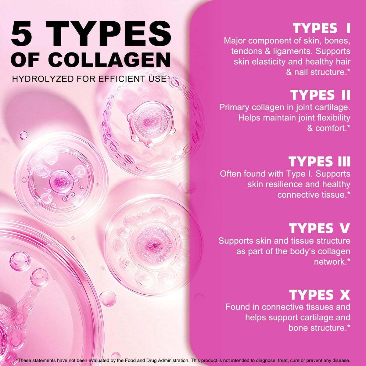 Multi-Kollagen-Peptid-Pulver – Typen I, II, III, V, X – Grasgefüttert, Weidehaltung – Unterstützt Haut, Haare, Nägel & Gelenke – Geschmacksneutral, hydrolysiert, leicht mischbar – Ohne Gentechnik, glutenfrei, laktosefrei
