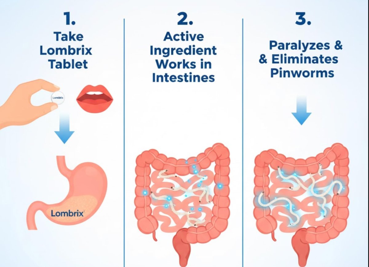 Lombrix Wurmmittel Pyrantelpamoat 180 mg Tabletten, Darmflora-Unterstützung für Erwachsene und die ganze Familie, einmalige Anwendung, nicht verschreibungspflichtig, 10 Tabletten