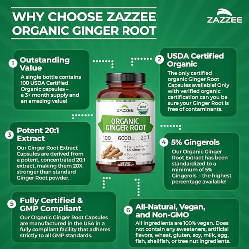 Zazzee Bio Ingwer Wurzel 20:1 Extrakt, 5% Gingerole, 100 vegane Kapseln, 3+ Monate Vorrat, Zingiber Officinale, Verdauungs- und Magenunterstützung, natürlich, nicht-GVO, hergestellt in den USA