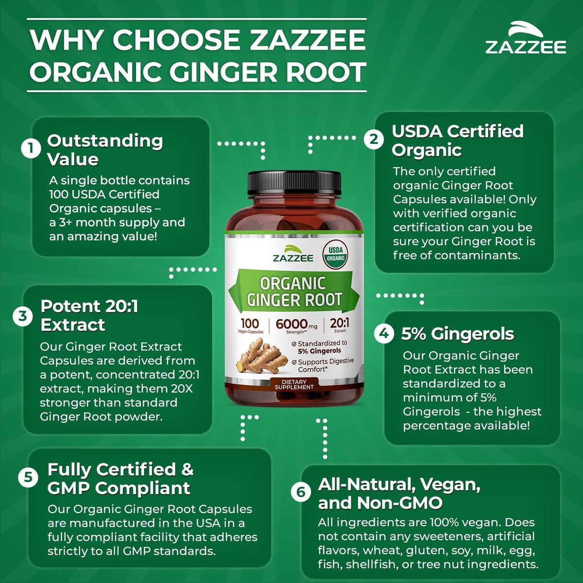 Zazzee Bio Ingwer Wurzel 20:1 Extrakt, 5% Gingerole, 100 vegane Kapseln, 3+ Monate Vorrat, Zingiber Officinale, Verdauungs- und Magenunterstützung, natürlich, nicht-GVO, hergestellt in den USA