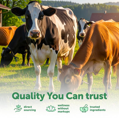 Micro Ingredients Bovines Kolostrum 1.000 mg pro Portion, 240 Kapseln | 40% IgG mit Kollagen & Probiotika | Kolostrum-Ergänzung mit 10 probiotischen Stämmen | Non-GVO, Glutenfrei