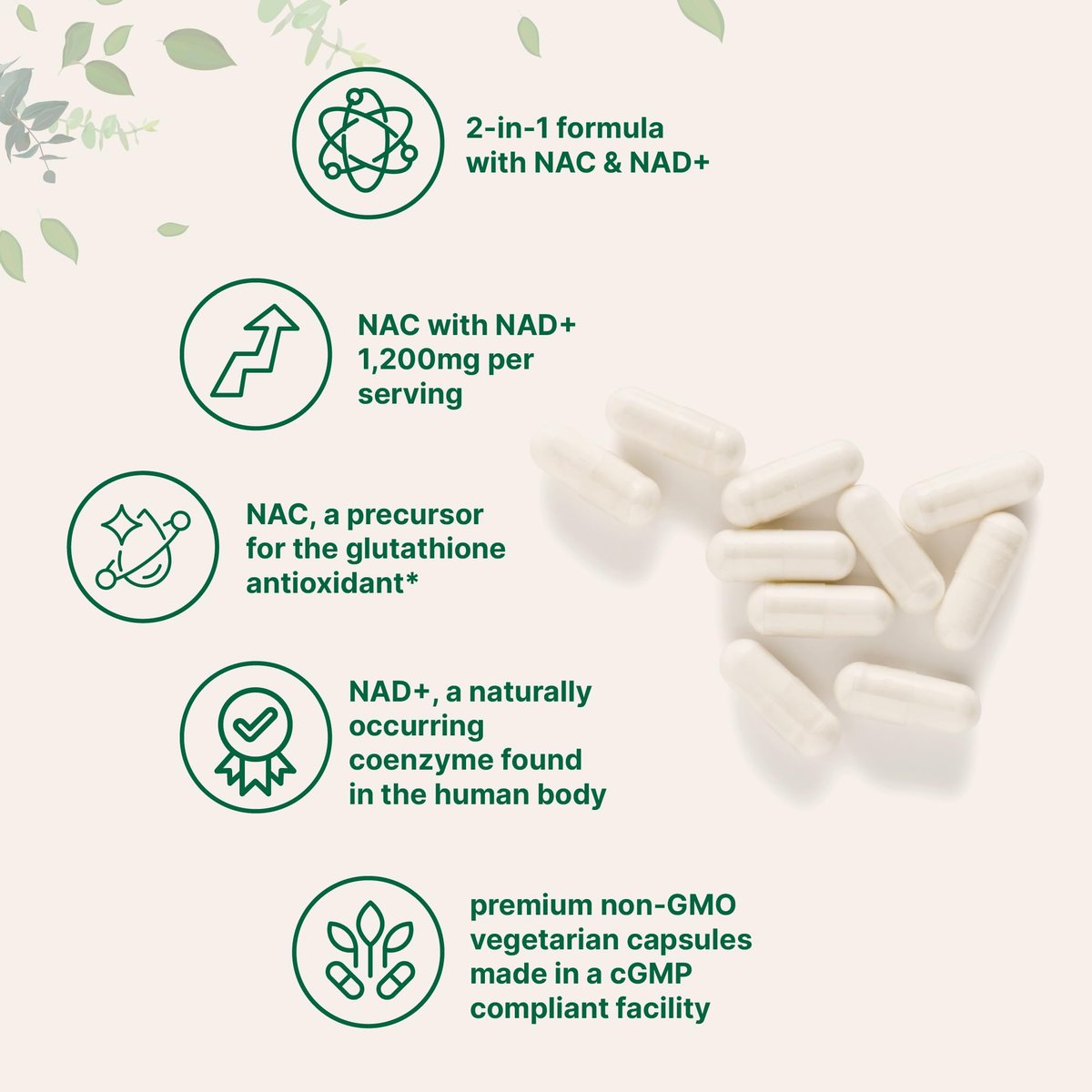 Micro Ingredients NAC mit NAD+, 240 vegane Kapseln | 1.200 mg pro Portion | 2-in-1 N-Acetyl-L-Cystein mit Nicotinamid-Adenin-Dinukleotid | Non-GMO, cGMP hergestellt