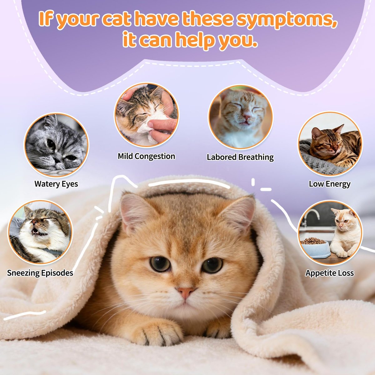 Lysin für Katzen, 500 Stück Immununterstützung Kaustücke, L-Lysin Ergänzung mit Kolostrum, Omega-3, lindert Niesen, laufende Nase & obere Atemwege, knusprig & cremig, Huhn-Krill-Geschmack