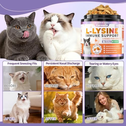 Lysin für Katzen, 500 Stück Immununterstützung Kaustücke, L-Lysin Ergänzung mit Kolostrum, Omega-3, lindert Niesen, laufende Nase & obere Atemwege, knusprig & cremig, Huhn-Krill-Geschmack
