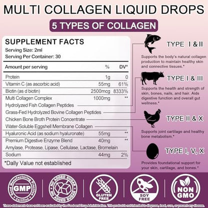 Multi-Kollagen-Peptide Flüssigtropfen, 60 ml – Typen I, II, III, V, X, Hydrolysierter Kollagenkomplex für Haare, Haut, Nägel, Knochen & Gelenke | Kollagenpräparat mit Hyaluronsäure, Biotin, Vitamin C