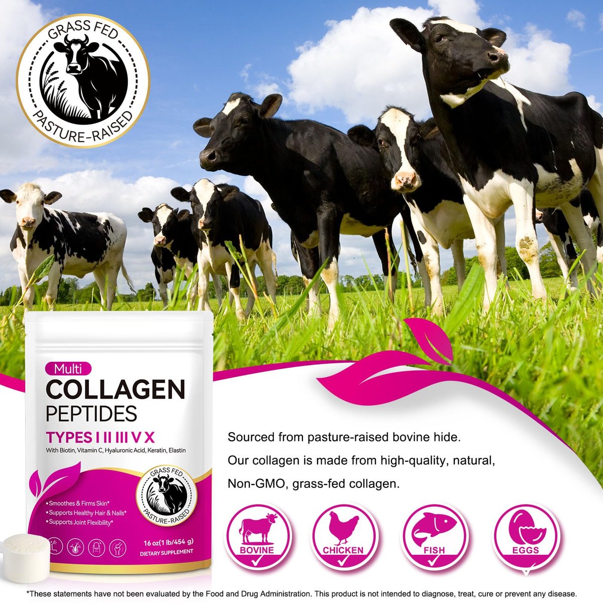 AEBEFBAW Multi-Kollagen-Peptid-Pulver | Typen I, II, III, V, X | 16 oz (41 Portionen) Hydrolysierte Kollagenpeptide | Unterstützt gesunde Haut, Gelenke, Haare und Nägel | Ungesüßt und löst sich leicht auf