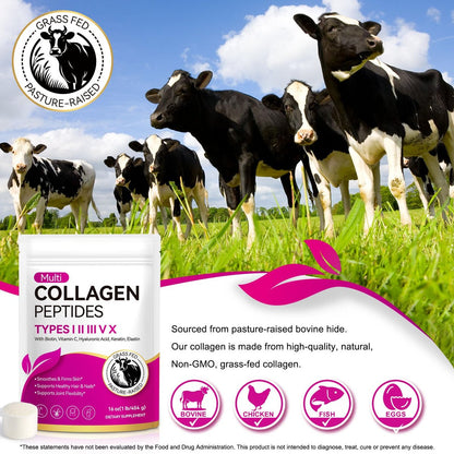 AEBEFBAW Multi-Kollagen-Peptid-Pulver | Typen I, II, III, V, X | 16 oz (41 Portionen) Hydrolysierte Kollagenpeptide | Unterstützt gesunde Haut, Gelenke, Haare und Nägel | Ungesüßt und löst sich leicht auf