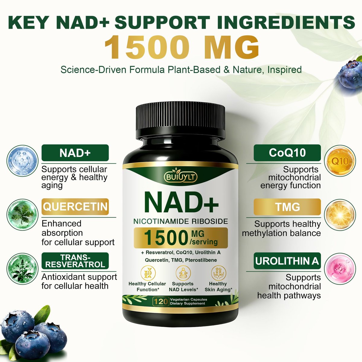 BUIUYLT NAD+ Supplement 1500mg - Nicotinamid-Ribosid mit Resveratrol, Urolithin A, CoQ10 & Quercetin - NAD Plus für zelluläre Energie, gesundes Altern & Ausdauer für Frauen & Männer - 120 Kapseln