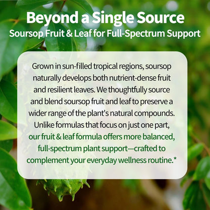 JuvaNutra Soursop Bitters Liquid Drops 4 Fl Oz – 12-in-1 Kräutertonic mit Seemoos, Moringa, Kurkuma, Echinacea & Ashwagandha zur Unterstützung der Verdauung und des Immunsystems