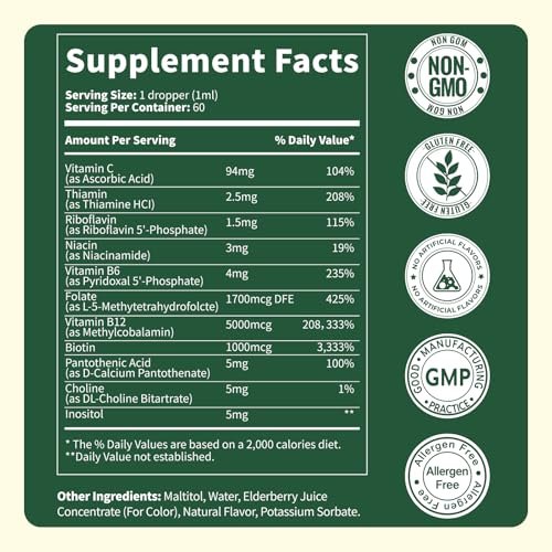 Vitamin B Komplex Tropfen mit aktivem B12 Methylcobalamin 5000mcg, B6, B1, B2, B5, B7, B3, Folsäure und Vitamin C – sublinguale Flüssigkeit für schnelle Aufnahme, Energie, Fokus & Immunsystem, vegan, 60 Portionen