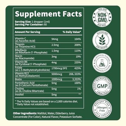 Vitamin B Komplex Tropfen mit aktivem B12 Methylcobalamin 5000mcg, B6, B1, B2, B5, B7, B3, Folsäure und Vitamin C – sublinguale Flüssigkeit für schnelle Aufnahme, Energie, Fokus & Immunsystem, vegan, 60 Portionen