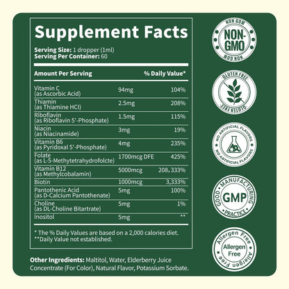 Vitamin B Komplex Tropfen mit aktivem B12 Methylcobalamin 5000mcg, B6, B1, B2, B5, B7, B3, Folsäure und Vitamin C – sublinguale Flüssigkeit für schnelle Aufnahme, Energie, Fokus & Immunsystem, vegan, 60 Portionen