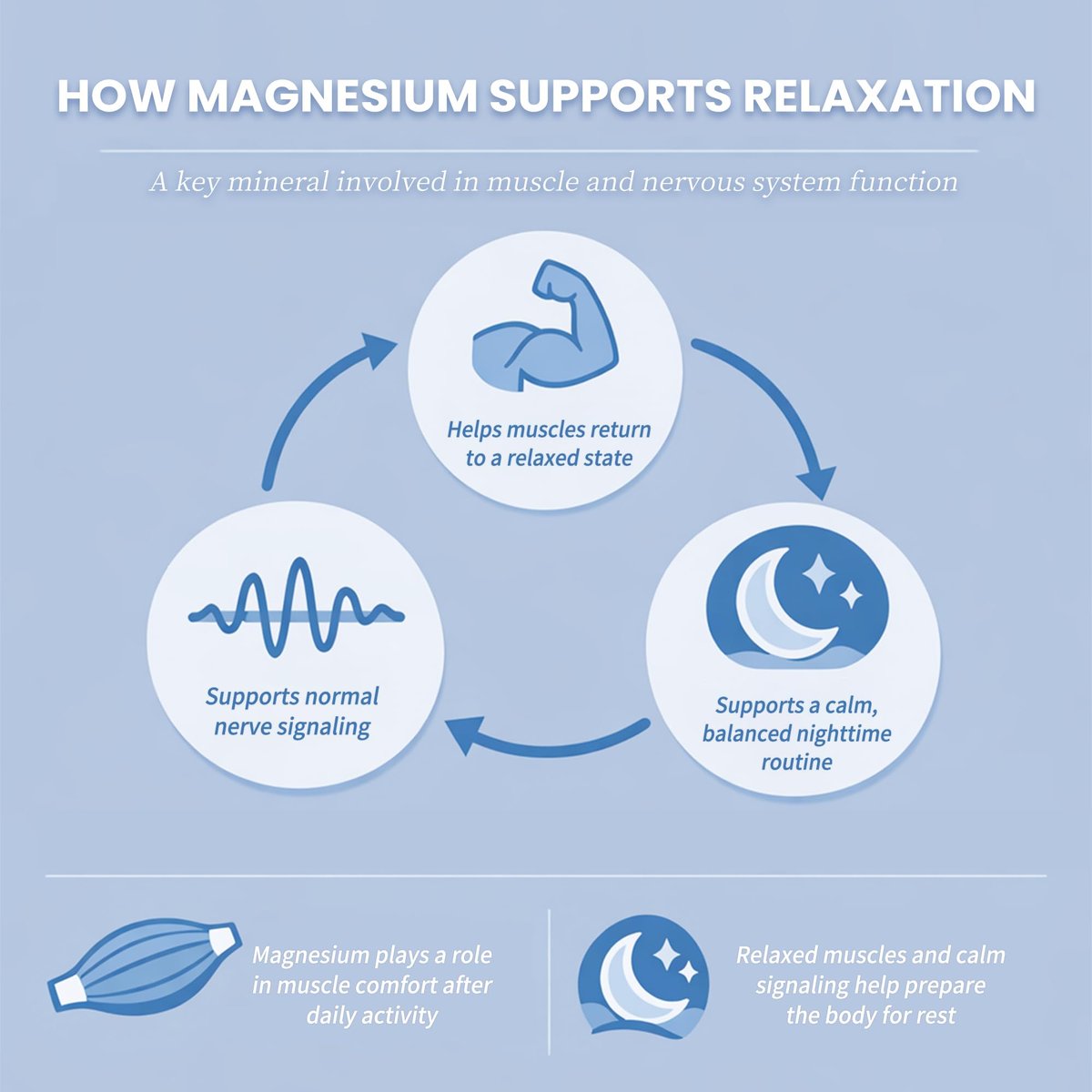 Liquid Magnesium Glycinate Drops für Schlafunterstützung & nächtliche Ruhe – Magnesiumtropfen mit Kamille, Ashwagandha, L-Theanin & GABA zur Entspannungsunterstützung, sanfte Absorption, Erdbeergeschmack, 60 ml