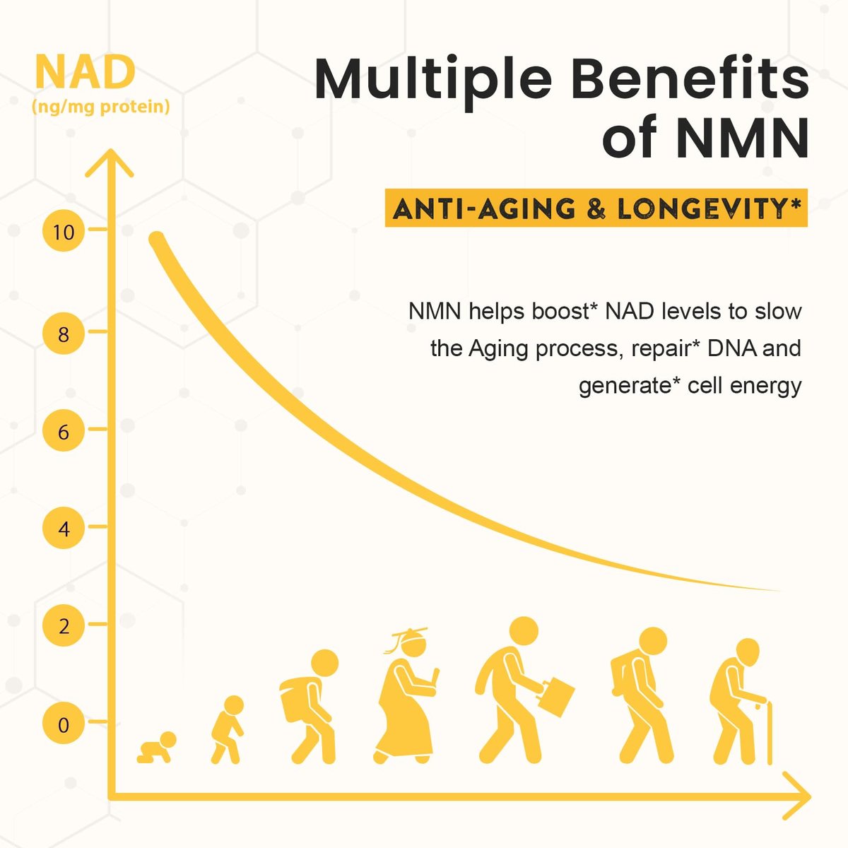 Sublinguales NMN 500 mg – Höchste Aufnahme & schnell wirkend, 120 Lutschtabletten (120-Tage-Vorrat), 99 % reines NMN (Nicotinamid-Mononukleotid) für NAD+, Zellen, Immunsystem, Energie, Muskeln, Anti-Aging, Langlebigkeit