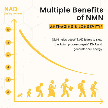 Sublinguales NMN 500 mg – Höchste Aufnahme & schnell wirkend, 120 Lutschtabletten (120-Tage-Vorrat), 99 % reines NMN (Nicotinamid-Mononukleotid) für NAD+, Zellen, Immunsystem, Energie, Muskeln, Anti-Aging, Langlebigkeit