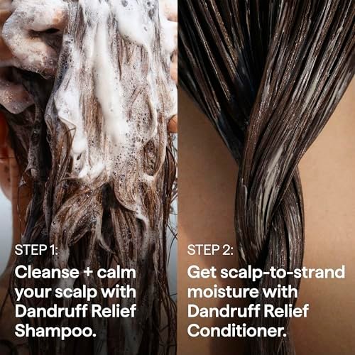 Briogeo Scalp Revival Anti-Schuppen Conditioner mit Aktivkohle & Salicylsäure 1,8% – Beruhigende Pflege für schuppige, juckende Kopfhaut, farbsicher, vegan & tierversuchsfrei, 250 ml