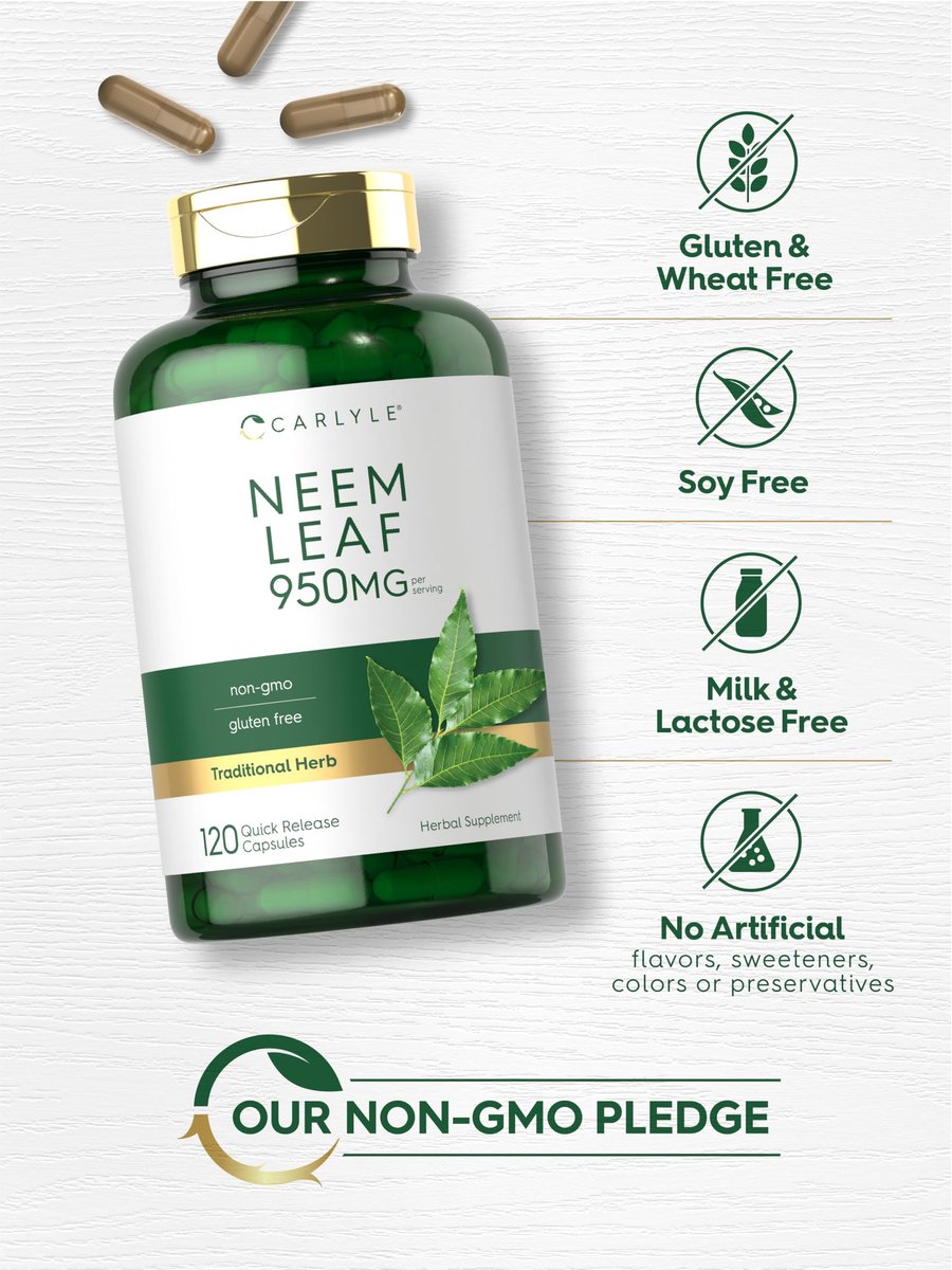 Carlyle Neemblatt | 950 mg | 120 Kapseln | Nicht-GVO & glutenfrei | Traditionelles Kräuterergänzungsmittel | Azadirachta Indica
