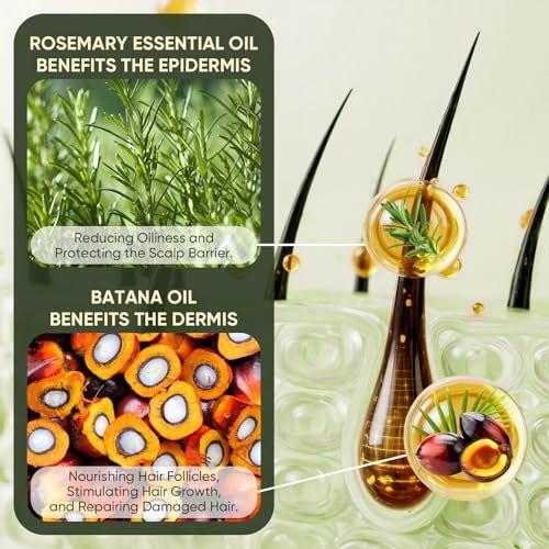 Batana Oil Shampoo und Conditioner Set – Haarpflege für Haarausfall, Vitalität und Wachstum, repariert Schäden, für Männer & Frauen, 300ml+300ml (10,58 fl.oz)