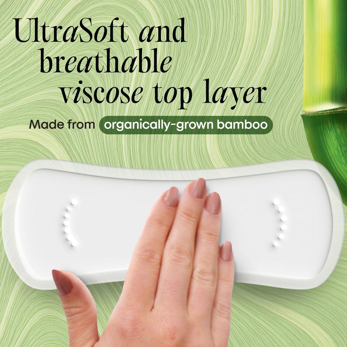 Kotex Bamboo Panty Liners, leichte Saugfähigkeit, normale Länge, 66 Stück (Verpackung kann variieren)