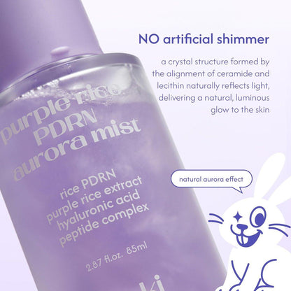tokki on the moon Purple Rice PDRN Aurora Mist | Feuchtigkeitsspendendes Gesichtswasser & Toner | Hautbarriere-Unterstützung & strahlender Glanz | Vegane koreanische Hautpflege | 85 ml