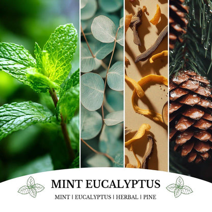 Mint Eucalyptus Kerzen, Minze Eukalyptus Duftkerze, Muttertag Kerzen Geschenk für Frauen, Sojakerzen für Zuhause, 7oz 50 Stunden Brenndauer
