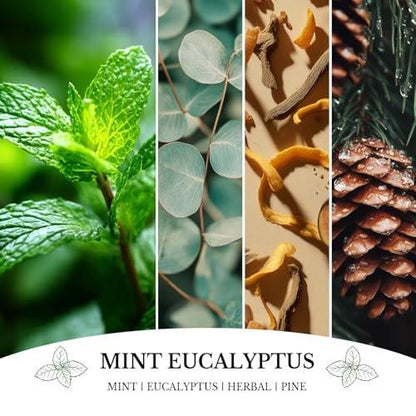 Mint Eucalyptus Kerzen, Minze Eukalyptus Duftkerze, Muttertag Kerzen Geschenk für Frauen, Sojakerzen für Zuhause, 7oz 50 Stunden Brenndauer