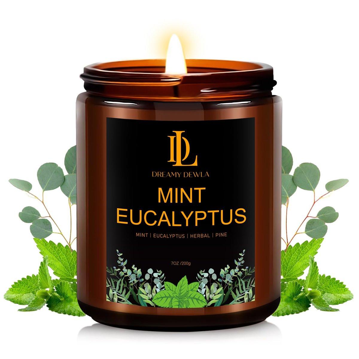 Mint Eucalyptus Kerzen, Minze Eukalyptus Duftkerze, Muttertag Kerzen Geschenk für Frauen, Sojakerzen für Zuhause, 7oz 50 Stunden Brenndauer
