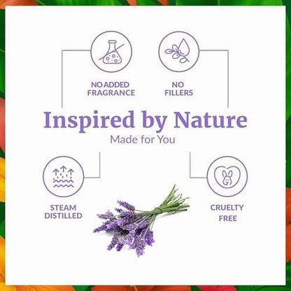 SVA Lavendel Bio Ätherisches Öl – 60 ml – 100 % natürliches Bio-Lavendelöl für Diffuser, Haare, Gesicht, Hautpflege, Aromatherapie, Kopfhaut und Körpermassage, Seifen- und Kerzenherstellung – mit Pipette