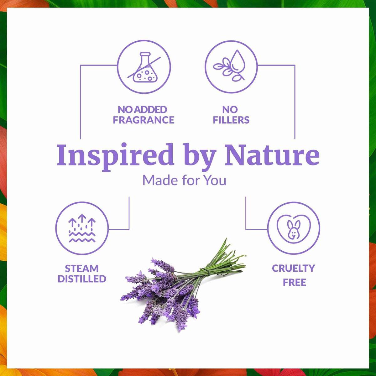 SVA Lavendel Bio Ätherisches Öl – 60 ml – 100 % natürliches Bio-Lavendelöl für Diffuser, Haare, Gesicht, Hautpflege, Aromatherapie, Kopfhaut und Körpermassage, Seifen- und Kerzenherstellung – mit Pipette