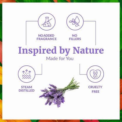 SVA Lavendel Bio Ätherisches Öl – 60 ml – 100 % natürliches Bio-Lavendelöl für Diffuser, Haare, Gesicht, Hautpflege, Aromatherapie, Kopfhaut und Körpermassage, Seifen- und Kerzenherstellung – mit Pipette
