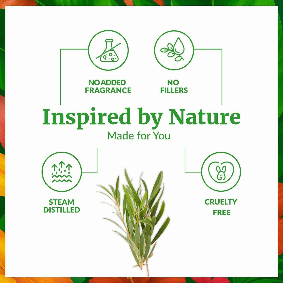 SVA Teebaumöl Bio – 59 ml – 100% natürliches Bio-Teebaumöl – für Diffuser, Haare, Gesicht, Hautpflege, Aromatherapie, Kopfhaut- und Körpermassage, Seifen- und Kerzenherstellung – mit Pipette